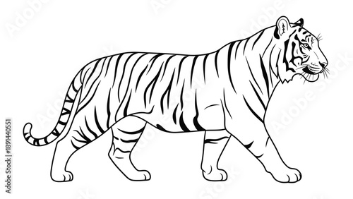 Striped Majesty: A detailed line drawing showcases the exquisite form and striking stripes of a tiger in a majestic pose, capturing its power and beauty.