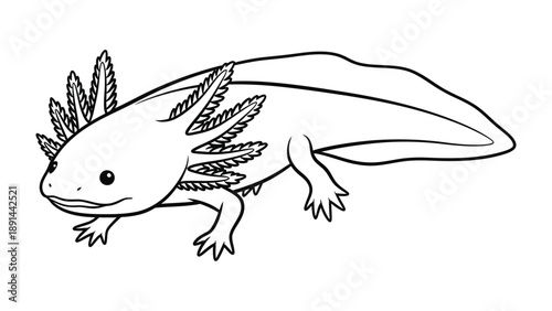Axolotl: A charming illustration of an axolotl, a unique amphibian, gracefully swimming, showcasing its feathery gills and distinctive features.