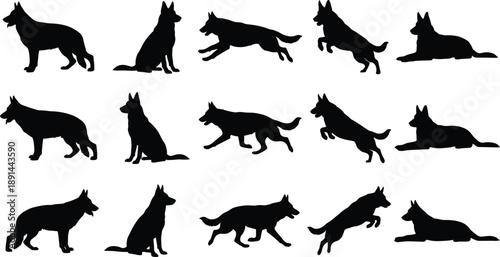 German Shepherd dog silhouette collection showing running, jumping, sitting, and lying poses, isolated black canine figures for pet, training, and vector design projects