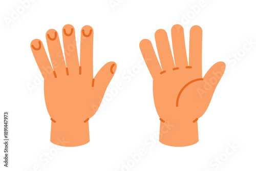Hand showing number 5 with all fingers. Open palm cartoon gesture for counting and educational visuals
