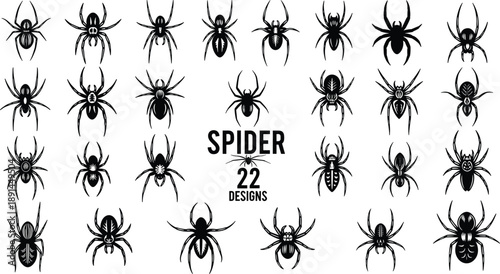 Collection of 22 black spider and on white background spiders arachnid insect creepy