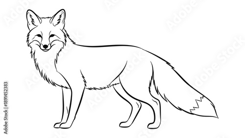 Smiling Fox Contour: A charming and detailed line drawing of a fox, depicted in a playful and animated pose with a friendly expression.