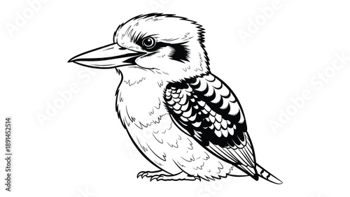 Tableau sur toile Kookaburra bird Illustration: This illustration captures a kookaburra bird, known for its distinctive cackle-like call