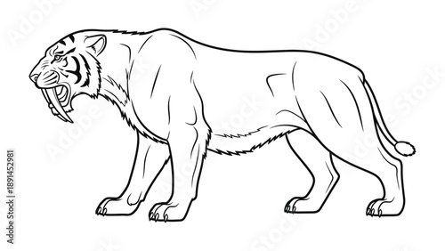 Saber-Toothed Tiger Outline: A detailed black and white illustration of a ferocious saber-toothed tiger, a powerful predator of a bygone era. 