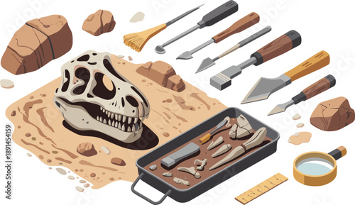 Archaeology excavation illustration with dinosaur skull fossil bones tools, paleontology dig site equipment, prehistoric discovery isolated on white