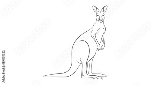 Kangaroo Outline: A sleek illustration of a kangaroo, standing tall with its muscular build and iconic pose. A perfect representation of a marsupial species