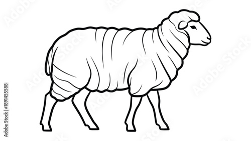 Sheep illustration : A meticulously drawn illustration showcases a solitary sheep, rendered in crisp black lines against an isolated background. This detailed artwork highlights the sheep's form.