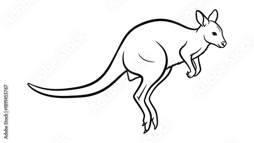 Kangaroo Line Art: A graceful kangaroo, its powerful hind legs poised for a leap, rendered in elegant line art, embodying the essence of Australia's iconic marsupial.
