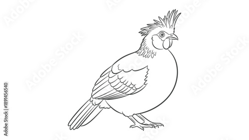 Exquisite Bird Sketch: A beautifully detailed line drawing of a charming bird. With intricate detail, this artwork captures the essence and allure of avian grace.