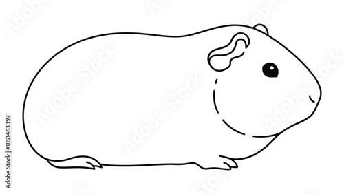 Guinea Pig Illustration: A simple yet charming illustration of a guinea pig, rendered in clean lines, offering a delightful depiction of the cuddly pet.