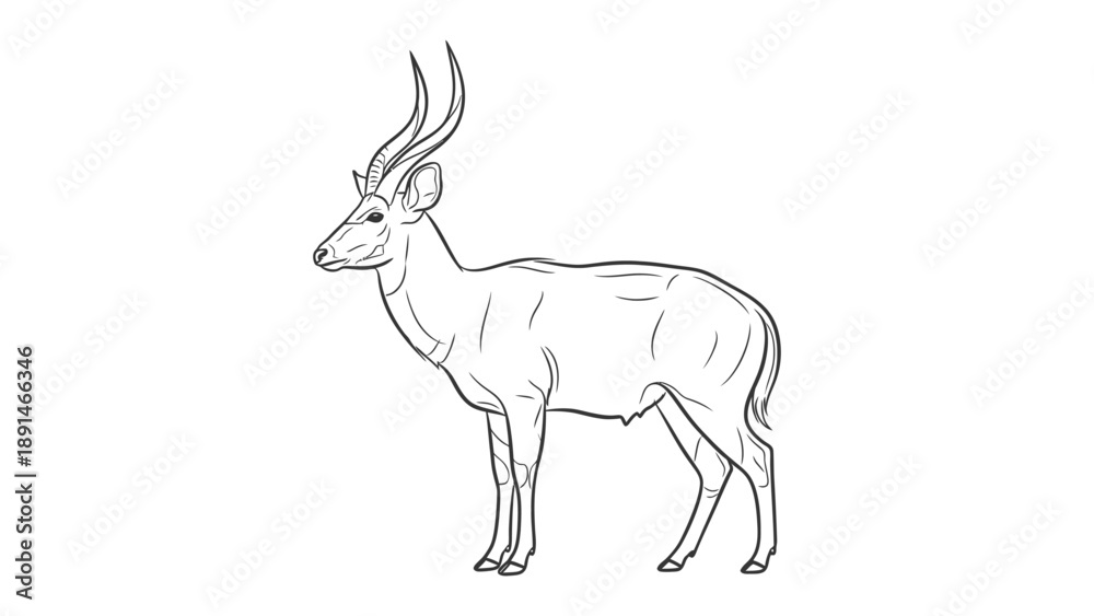 Obraz premium Elegant Antelope Silhouette: A sleek, linear illustration of an antelope, embodying grace and strength, captured in a clean, minimalist style.