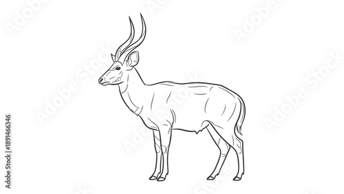 Elegant Antelope Silhouette: A sleek, linear illustration of an antelope, embodying grace and strength, captured in a clean, minimalist style.