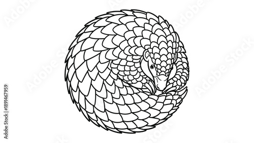 Pangolin's Protective Curl: a solitary pangolin, an armored mammal, is curled into a tight defensive posture. a black and white illustration, highlighting the pangolin's unique scales.