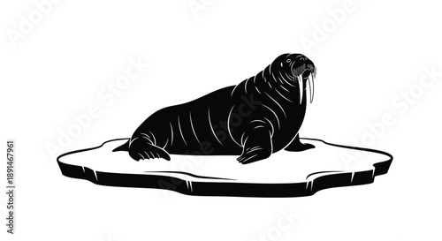 A black silhouette of a walrus rests on an ice floe against a white background.