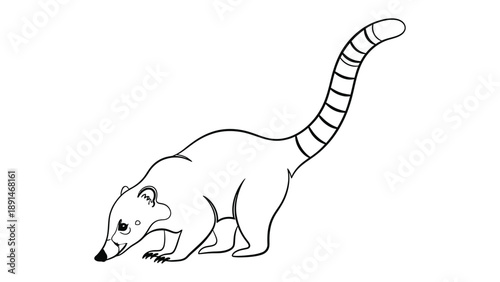 Coati Illustration: A simple yet elegant illustration depicts a coati, showcasing its distinctive features in a clean, minimalist style.