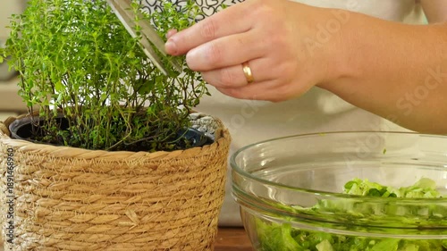Woman cutting fresh thyme leaves for salad