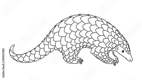 Scaly Pangolin: A detailed illustration of a pangolin showcases its unique, scale-covered body, depicting its natural posture and design. 