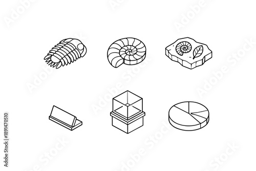 Scientific line art of fossils, geometric shapes, and diagrams