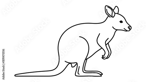 Kangaroo Outline: An elegant illustration of a kangaroo, a symbol of Australia's vast landscapes and unique wildlife, rendered in crisp black lines.