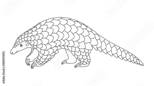 Scaly Pangolin Silhouette: A detailed illustration of a pangolin, showcasing its unique scales and posture.
