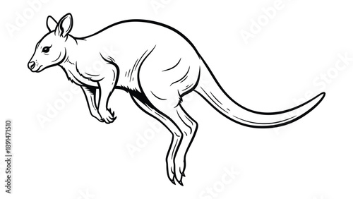 Jumping Kangaroo: An illustration of a kangaroo in mid-jump. Demonstrating the dynamic movement and unique anatomy of this iconic Australian marsupial.