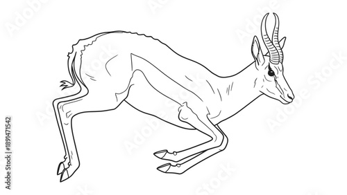 Gazelle in Motion: A gazelle leaps with dynamic energy. Capturing elegance and agility.