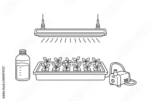 Linear design of hydroponic system with seedlings, grow light, and nutrient solution
