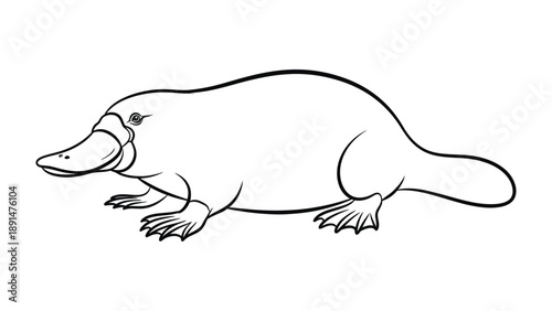 Playtpus Line Art Illustration: A stylized line art illustration showcases the unique features of a playtpus, with its distinctive bill, webbed feet, and streamlined body.
