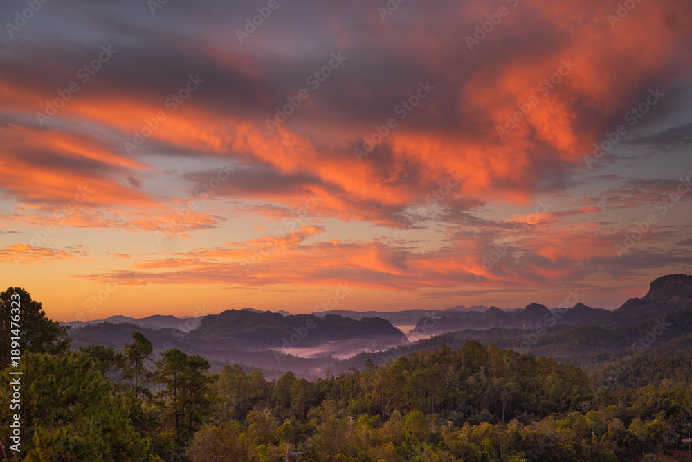 Fototapeta premium Mountain View with Trees and warm sunlight peeking over the peaks.