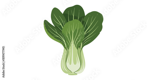 Fresh green bok choy illustration for healthy eating and culinary projects. Vibrant asian vegetable ingredient showcasing natural nutrition and