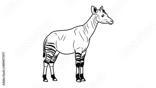 Okapi Illustration: A captivating monochrome illustration of an okapi, a unique animal with distinctive zebra-like stripes on its legs.