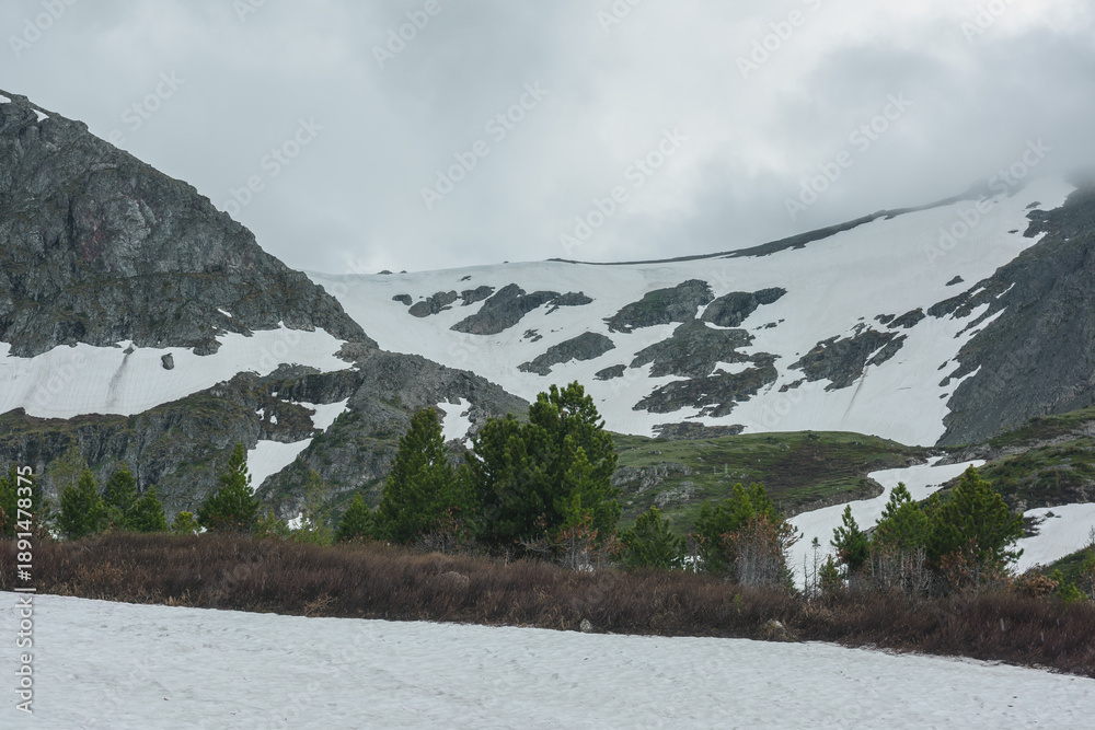 Fototapeta premium Minimal alpine view from snowfield and conifer trees to sharp rocky mountain with snow in rainy haze. Minimalist dramatic mountain landscape in gloomy weather in rain time. Gray sky in high mountains.
