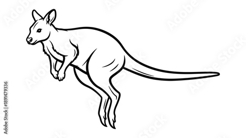 Jumping Kangaroo Outline: A dynamic illustration of a kangaroo in mid-leap, capturing the essence of agility and motion in the Australian outback.