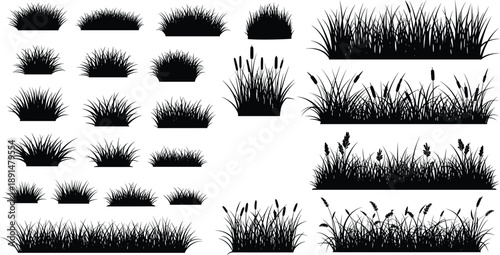 Black silhouettes of various grass and plants on white background grass, plants, silhouettes, black, white background, foliage, vegetation, clumps, cattails, reeds, lawn, landscape, various, white, ba