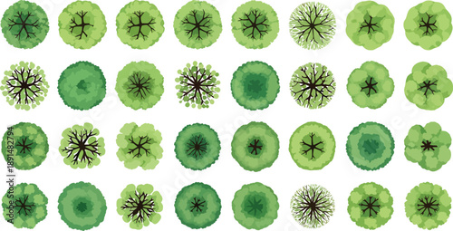 Flat vector tree top view collection for landscape architecture and garden site plans with branch symbols.