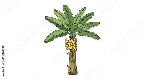 Vibrant tropical banana plant illustration showcasing lush green leaves and a bountiful cluster of ripe yellow fruit an idealized depiction of
