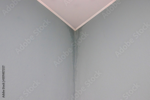 Damp wall corner near ceiling with dark water marks and peeling paint. Concept of indoor humidity, moisture accumulation, mold formation, poor ventilation, home interior damage.
