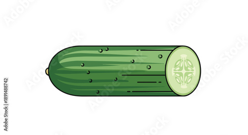 Vibrant green cucumber illustration with a clean cross-section revealing internal seeds a perfect depiction of fresh healthy produce ready for