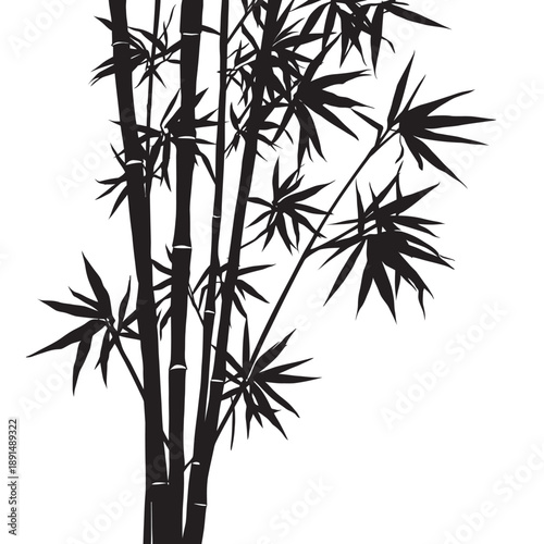 bamboo leaves and branches illustrated in a clean vector style inspired by Asian nature and forest design