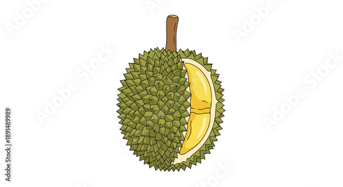 Exotic tropical durian fruit illustration with spiky green outer shell and creamy yellow flesh visible in a bold simple vector artwork on a white