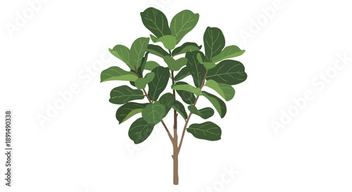 A captivating digital illustration portrays a robust fiddle leaf fig plant, emphasizing its large, vibrant green leaves and slender brown stem,