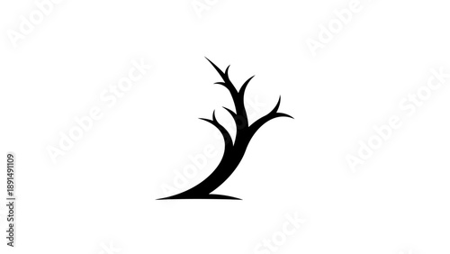 Silhouette of a Bare Tree Against White Background.