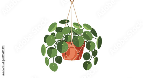 Charming circular leaf houseplant elegantly suspended in a terracotta macrame pot, ideal for modern indoor decor.