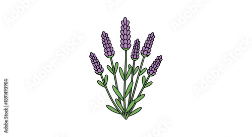 A charming hand-drawn illustration depicting a serene cluster of fragrant lavender flowers with vibrant purple florets and delicate green stems a
