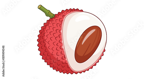 Detailed illustration of a fresh, peeled tropical lychee fruit, showcasing its translucent white flesh and prominent brown seed within the vibrant