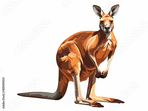 A vibrant illustration of a red kangaroo standing in a poised posture