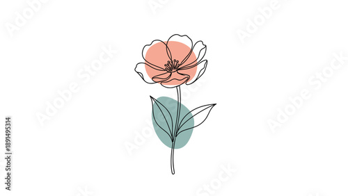 Single line drawing of a blooming flower with two leaves and soft orange and blue-green color blobs on a white background.