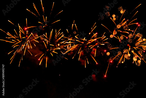 Fireworks blooming in the dark night sky