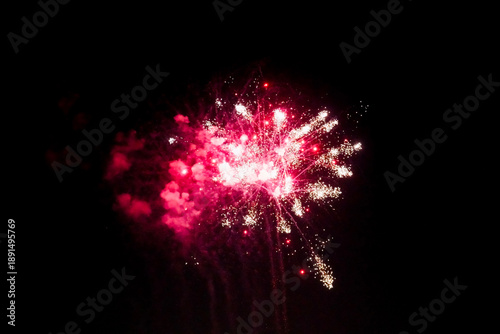 Fireworks blooming in the dark night sky