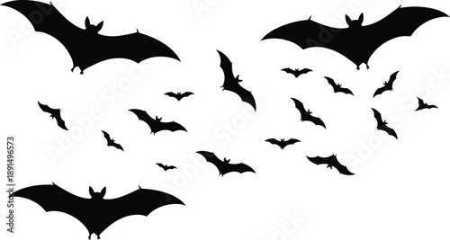 Flying bat silhouettes isolated on white background, spooky Halloween night concept, black vampire bats swarm, minimalist wildlife illustration design